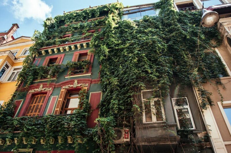 Istanbul: Private Guided Food Tour With 10 Tastings - Dietary Options