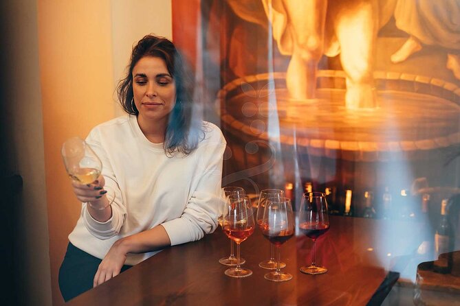 Istanbul Private Wine Tasting Tour Through 3 City Wineries - Wine Tasting Experience