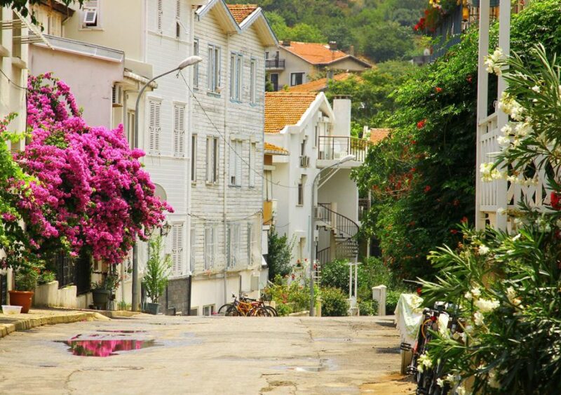 Istanbul: Round-Trip Ferry Tickets to the Princes Islands - Customer Feedback and Ratings
