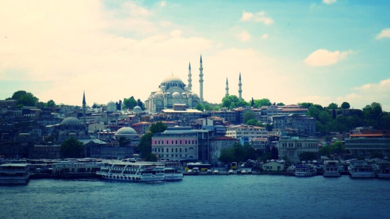 Istanbul Scenic Half-Day Bosphorus Cruise - Included Services