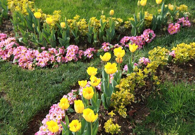 Istanbul Segway Mini Tour - Afternoon - Key Points