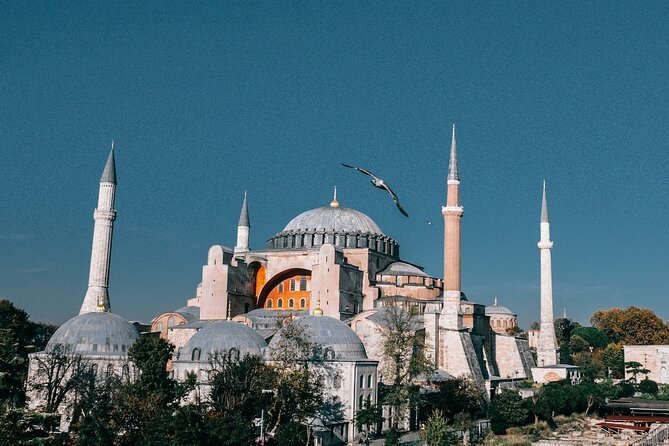Istanbul Shore Excursion by Tram: Half Day Private Tour From Port - Traveler Feedback