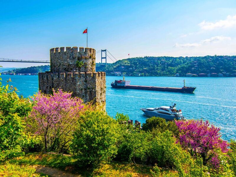 Istanbul: Spice Bazaar Tour and Bosphorus Morning Cruise - Activity Highlights