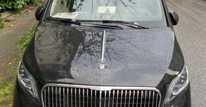 Istanbul Tailored Luxury: Personal Chauffeur-Driven Journey - Frequently Asked Questions