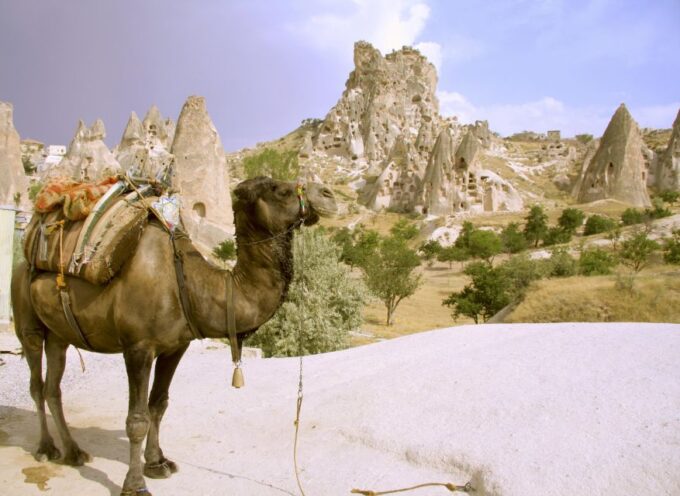 Istanbul to Cappadocia All Inclusive Private Day Tour - Important Information