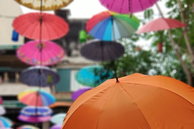 Istanbul Walking Food Tour With Secret Food Tours - Review Highlights and Ratings