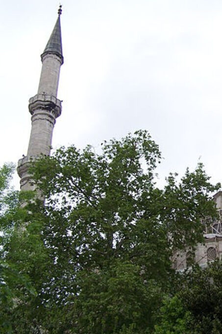Istanbuls Fatih District: 3-Hour Tour With Entrance Fees - Customer Reviews