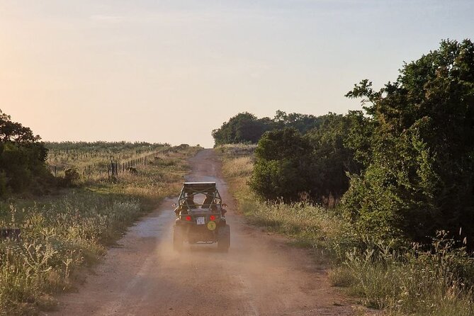 Istra Buggy Tours - Fazana - Tour Inclusions