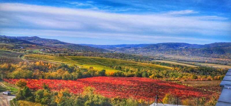 Istria Day Tour From Zagreb - Good To Know