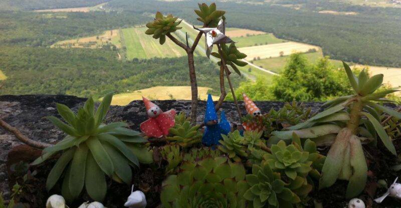 Istria: Guided Tour of Inner Istria With Food Tasting - Good To Know