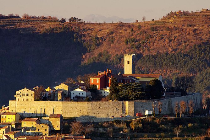 Istria in 1 Day Tour (from Pula or Medulin) - Poreč and UNESCO Euphrasian Basilica