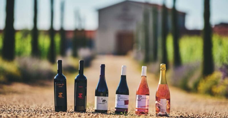 Istria: Pervino Wine Tasting - Winery Details