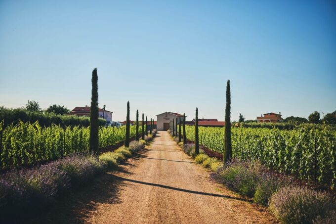 Istria: Pervino Wine Tasting - Nearby Attractions