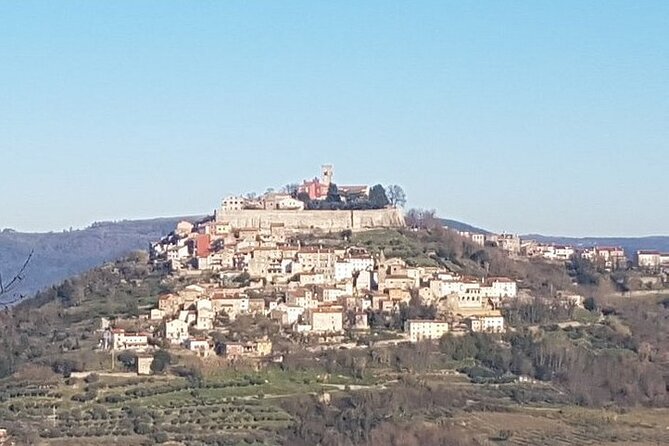 Istria Private Day Trip - Morning or Evening Tour Options