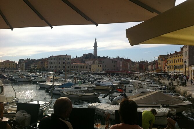 Istria Private Day Trip - Weather and Transportation Accessibility