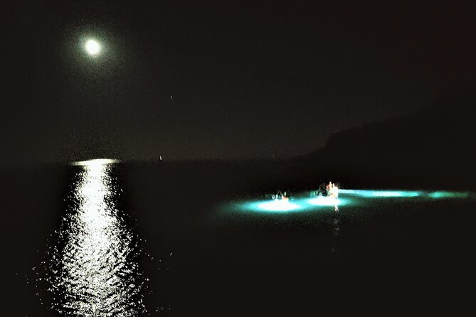 Istria Sea Canyon Illuminated Kayak Tour by Night - Navigating the Waters