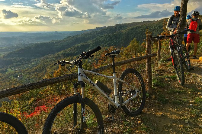 Istria Small-Group Countryside Cycling Tour  - Rovinj - Route Overview