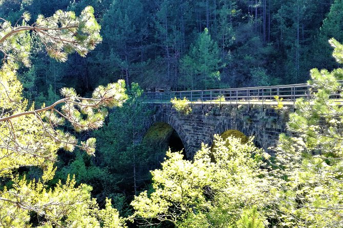Istria Small-Group Countryside Cycling Tour  - Rovinj - Refund Policy