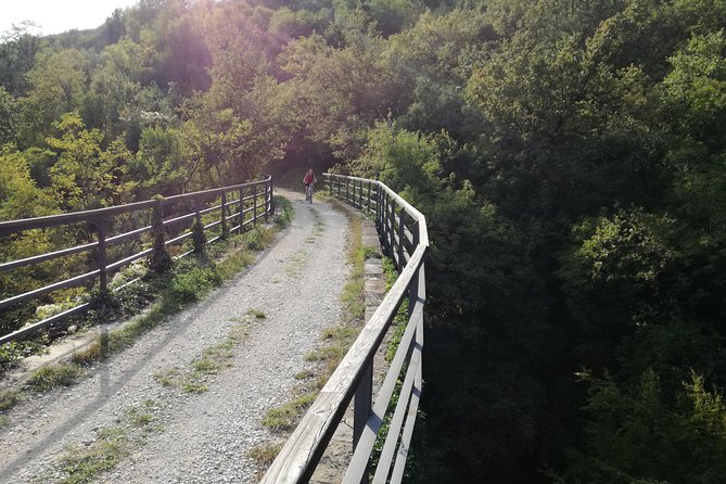 Istria Small-Group Countryside Cycling Tour  - Rovinj - Tour Reviews
