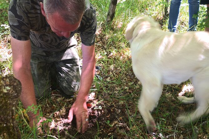 Istria - Truffles: Hunting & Cooking & Tasting, Slovenia - Istrian Wine Pairings