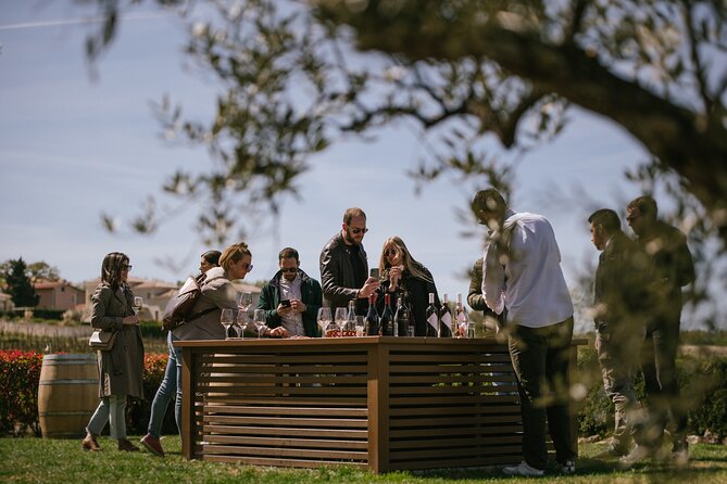 Istria Wine Tour From Rijeka and Opatija - Review Highlights