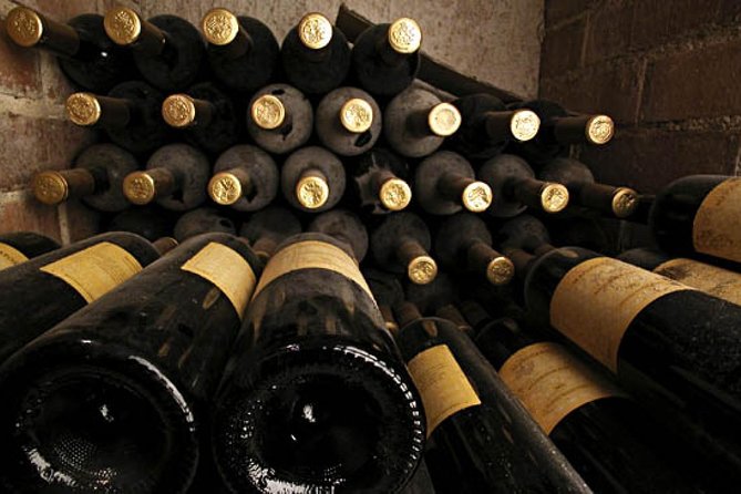 Istrian Wine Express - Tour Experience