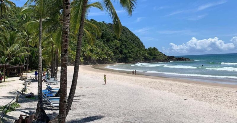 Itacaré: 4 Beaches Trail and Tijuipe Waterfall - Camboinha and Havaizinho Beaches