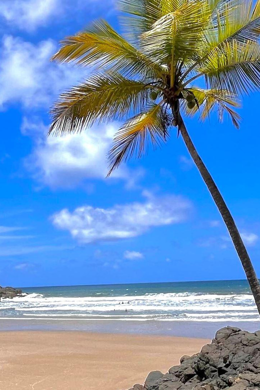 Itacaré: 4 Beaches Trail and Tijuipe Waterfall - Tour Guide Information