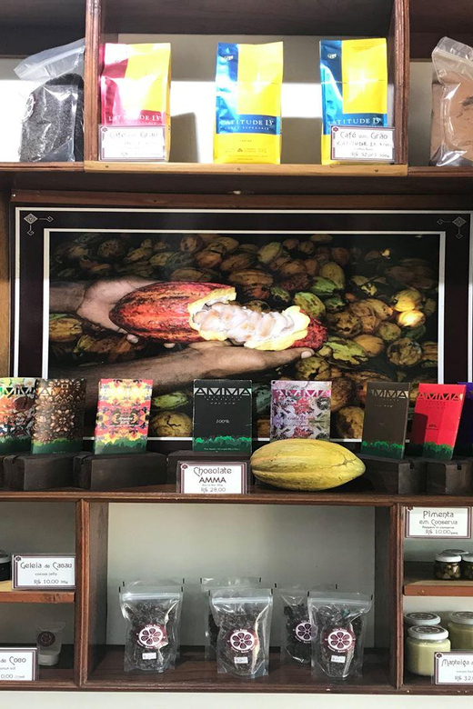 Itacare: Tour to the Vila Rosa Cocoa Farm - Village of Vila Rosa