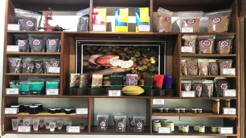 Itacare: Tour to the Vila Rosa Cocoa Farm - Pricing and Booking Details