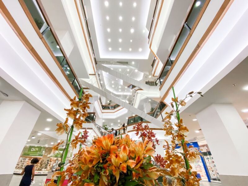 Itaigara Shopping Center - Unique Shopping Experiences