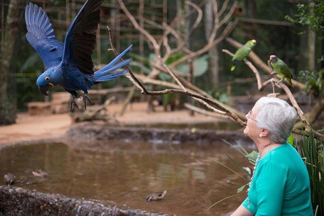 Itaipu Dam & Bird Park & Iguassu Falls Brazilian Side From Puerto Iguazu Hotels - Key Points