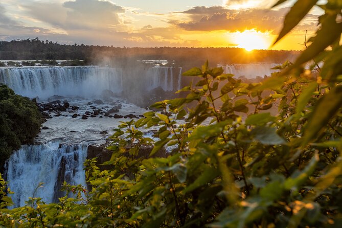 Itaipu Dam & Bird Park & Iguassu Falls Brazilian Side From Puerto Iguazu Hotels - Exploring Parque Das Aves