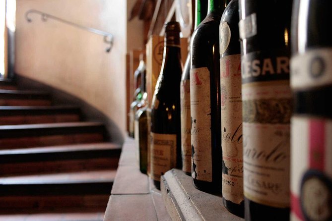 Italian Wine Tasting in Milan - Sommeliers Expertise