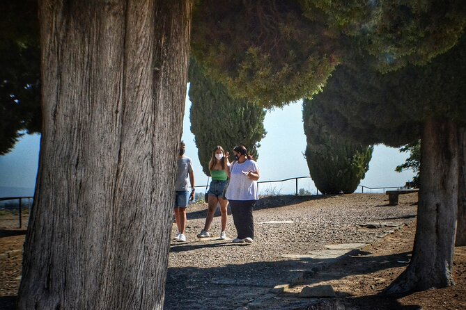 Italica 2-Hour Private Guided Tour From Seville - Meeting and Pickup Information
