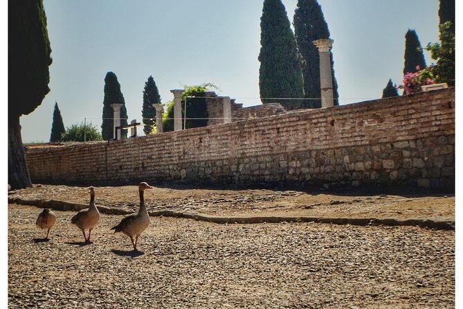 Italica 2-Hour Private Guided Tour From Seville - Accessibility and Special Notes
