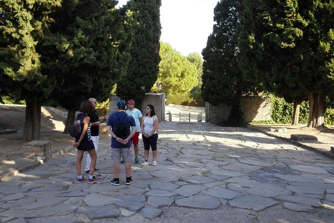 Italica 2-Hour Private Guided Tour From Seville - Pricing and Reservation Options