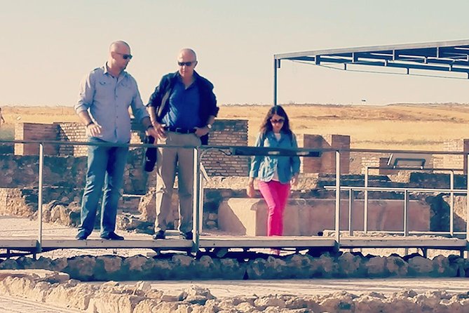 Italica 2-Hour Private Guided Tour From Seville - Exploring Italicas History