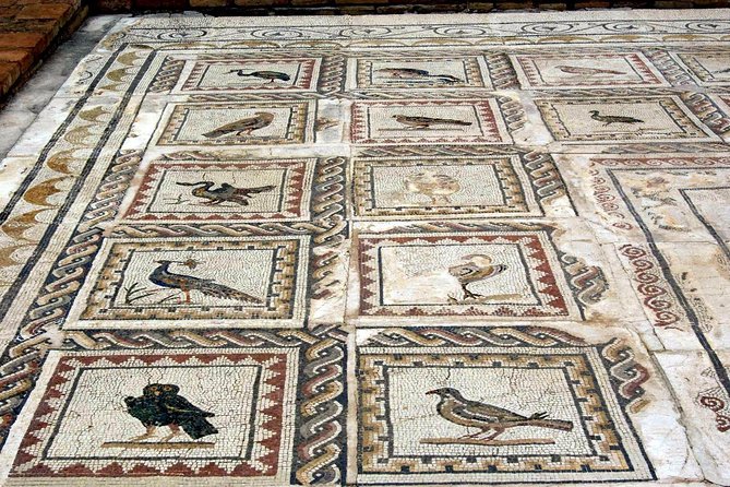 Italica: 3-Hour City Tour of the Emperors From Seville - Discovering Italicas Imperial Legacy