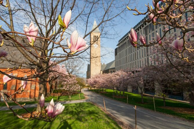 Ithaca's Historic Gems: A Cultural Walkabout - Notable Ithaca Residents