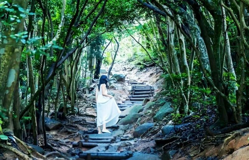 Itoshima Day Trip from Fukuoka: Nature & Coastal Scenery - Practical Tips for Travelers