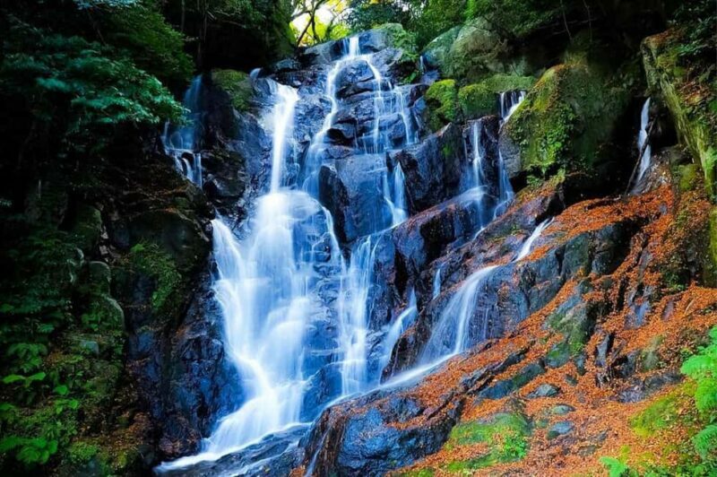 Itoshima Day Trip from Fukuoka: Nature & Coastal Scenery - Who Should Take This Tour?