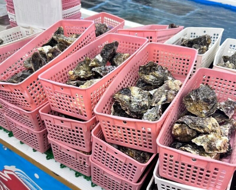 Itoshima Nature Tour With Oyster - Exploring Itoshima