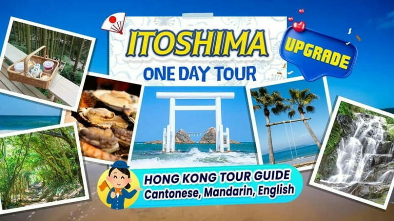 Itoshima Scenic TourTotoro Forest, Falls & Ocean View Spots - Final Thoughts