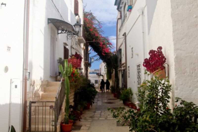 Itria Valley Van Tour: Beautiful Villages in Puglia - Exploring Alberobellos Trulli