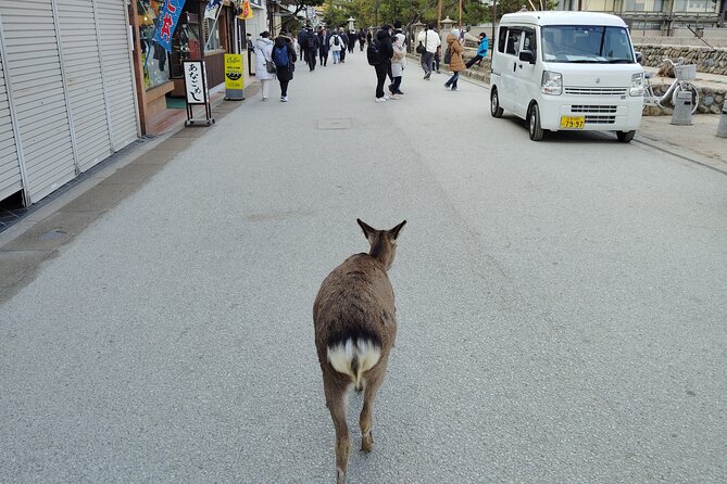 Itsukushima Shrine and Miyajima Summit 5hour Tour in Miyajima - Booking Details