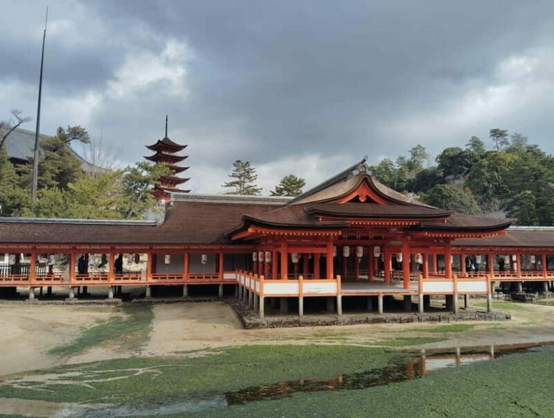 Itsukushima Shrine: Guided Tour with a Local - The Experience: What Travelers Say