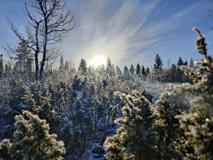 Ivalo: Aurora Adventure Holiday in Northern Lapland - Sum Up