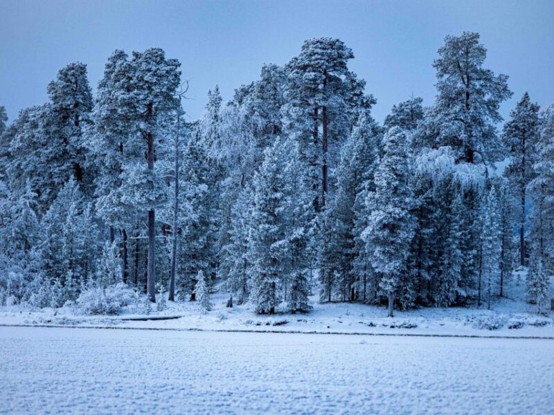 Ivalo: Northern Lights Holiday in Northern Lapland - Overview and Pricing