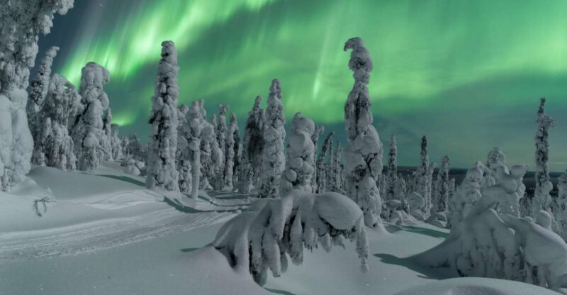 Ivalo: Northern Lights Holiday in Northern Lapland - Customer Feedback